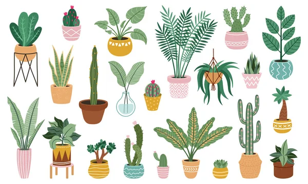 Rostlina v květináčích. Domácí květináče rostlin, květinářství rostlin, fíkus, kaktusy a sukulenty, vnitřní dekorativní rostliny izolované vektorové ilustrační set — Stockový vektor