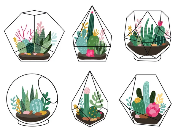 Rośliny terrarium. Geometryczny soczysty, kaktusowe terraria, ręcznie rysowane terraria z egzotycznych roślin, skandynawski styl wektor ilustracji zestaw — Wektor stockowy