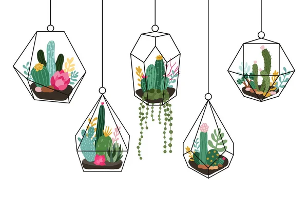 Doodle visí terárium. Sukulenty a kaktusy skleněné florária, tropické rostliny interiér geometrické terárium izolované vektorové ilustrační set — Stockový vektor