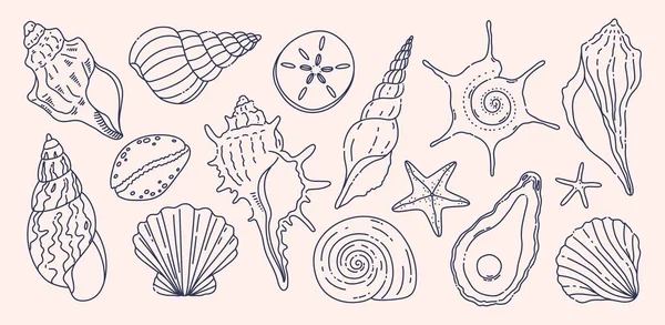 Deniz kabukları. Deniz yıldızı, istiridye, istiridye, istiridye, sarmal ve kabuklu deniz kabuğu koleksiyonu. Okyanus sahili deniz kabuğu ana hatları, yaz kıyı doğa elementleri ve deniz yaşam vektörü seti.