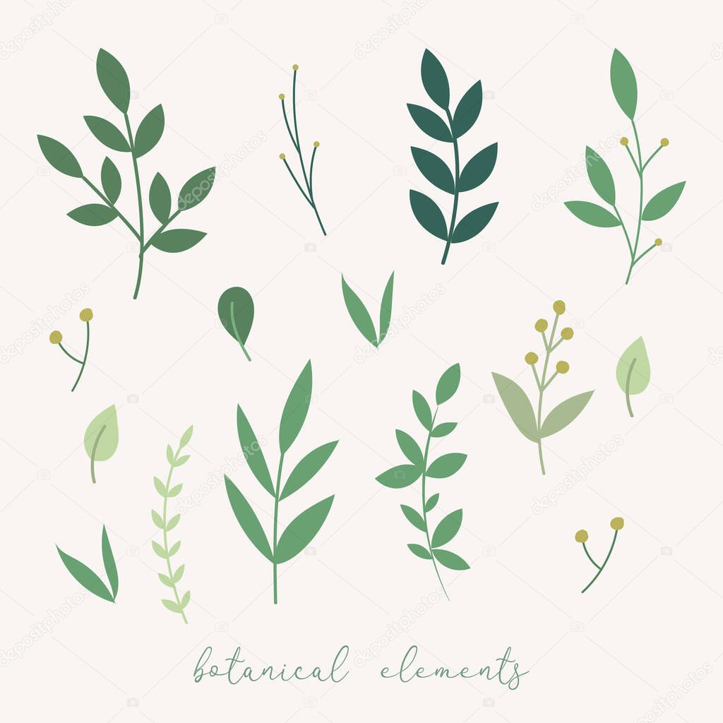 Vector botanical decoration elements. Floral leaves set. Botnical vector leaves and flowers
