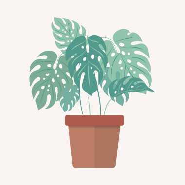 Saksıdaki canavar. Vektör evi bitkisi