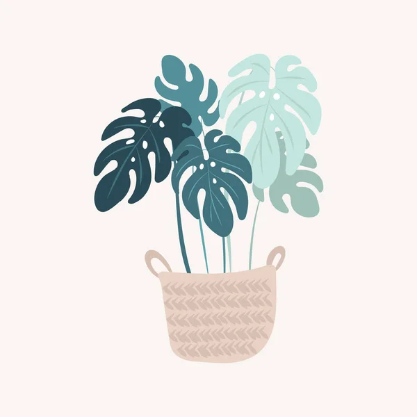 Monstera planta vetor em vaso . —  Vetores de Stock