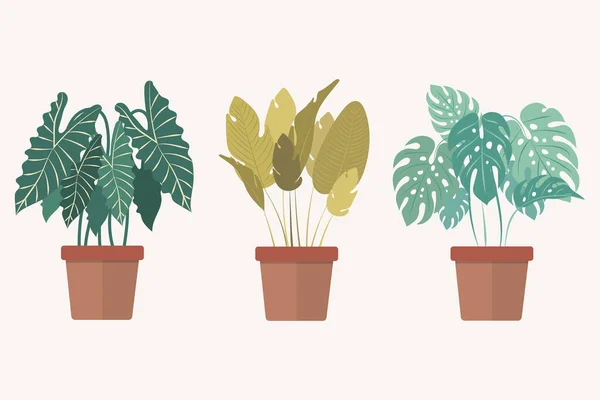 Ensemble de plantes de maison en pot — Image vectorielle
