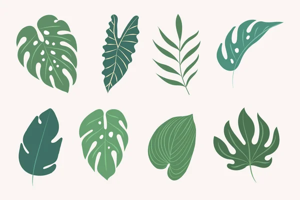 Vector tropische bladeren.Botanische elementen — Stockvector