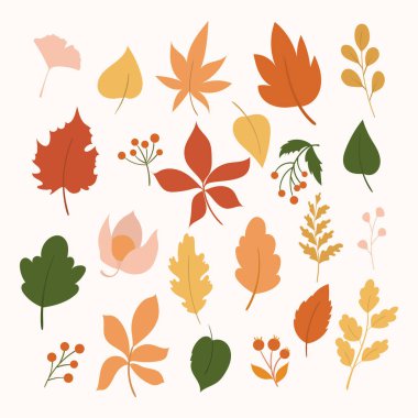 Sonbahar elementleri seti. Sonbahar yaprakları, mantar, bereler, balkabağı ve elma. El yapımı sonbahar yaprakları