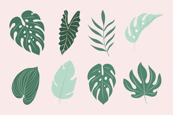 Ensemble Feuilles Tropicales Modernes Feuilles Monstera — Image vectorielle