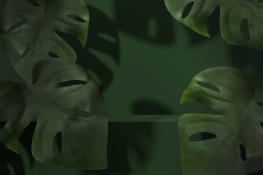 Üç boyutlu koyu yeşil kürsüde canavar palmiyesi yaprakları var. Gölgeli tropik doğa arka planı. Gerçekçi orman, kopyalama alanı olan kaide. Moda Soyut Moda Moda, Şablon. 3d resimleme.