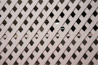 Beyaz arka planda limonlu taze kırmızı biber.