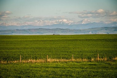 Güney Alberta Kanada, taze yeşil çayırlar ve Kanadalı kırsal alanda tarım arazileri