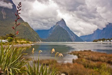 Famous view of Milford Sound from harbor of the fjord, New Zealand, Lonely planet best trek of New Zealand, world backpacking, dramatic scenery of zealandia landscape, tropical mountains of Australasia clipart
