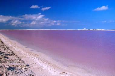 Las Coloradas Meksika pembe lagün doğal