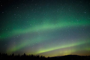 Aurora hafif kış gökyüzünde Alaska, büyülü gece gösteri, doğal tiyatro üzerinde
