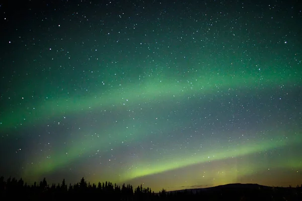 Aurora light on the winter sky in Alaska, magical night show, natural theather