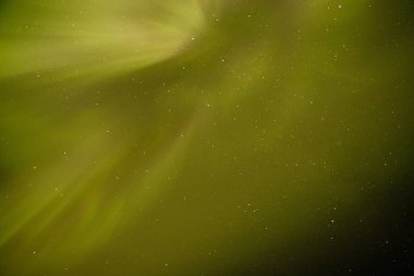 Northern Light uzak Kuzey Amerika'da yeşilimsi çesidi