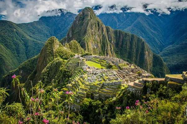 Widok miasta Machu Picchu w różowe kwiaty, Peru — Zdjęcie stockowe