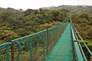 Hanging bridge in Monteverde reserve in Costarica clipart