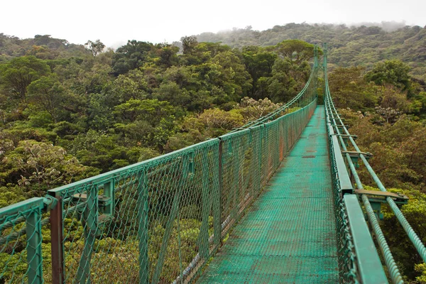 Puente colgante en la reserva de Monteverde en Costarica — Foto de Stock