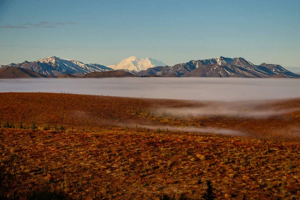 德纳利国家公园冻土带在雾蒙蒙的早晨, 阿拉斯加 — 图库照片
