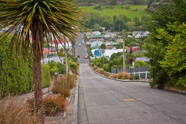 Baldwin street in Dunedin as the worlds steepest street, New Zealand clipart