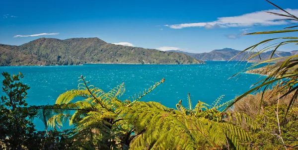 Panoramatic widok na ocean z Queen Charlotte utwór, Nowa Zelandia — Zdjęcie stockowe