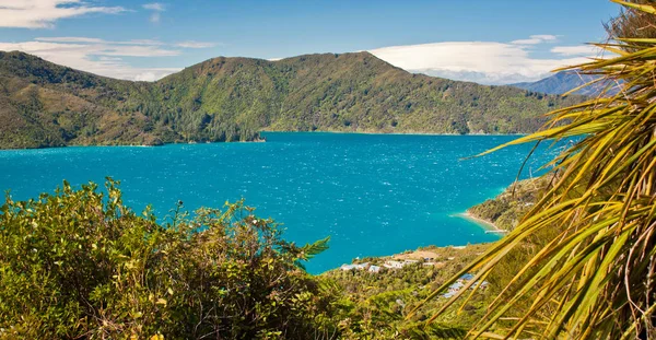 Águas azuis de Cook Entrada entre Ilha do Norte e Ilha do Sul da Nova Zelândia — Fotografia de Stock