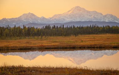 Alaska'daki Petersville yolundan Mckinley Mt.
