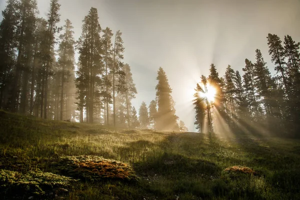 Morning sun rays creating magical atmosphere of one autumn day