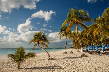 Tulum, Meksika 'da Riviera Maya' nın güzel plajları