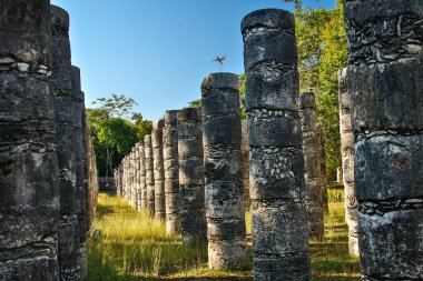 Meksika 'daki Chichen Itza antik Maya şehrinde binlerce kolon.