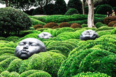 yüzler yontuyor yeşil çalılıklarda toplar