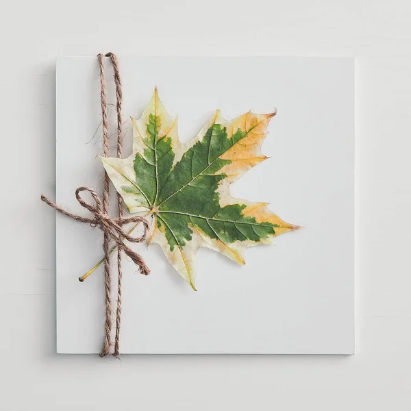 Autumn leaves top view. Colorful dry maple leaf tied with rope on paper, seasonal foliage. Beautiful botanical composition isolated on white background. Home interior decoration. Fall season concept