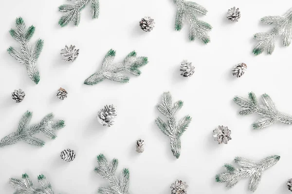 冬季最小的概念 长青树枝与雪和松果 水平构图 顶视图 冰雪森林创意最小的布局 雪的花纹 — 图库照片