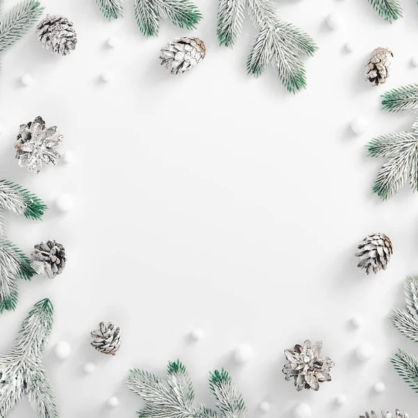 冬季最小的概念 长青树枝与雪和松果 正方形构图 顶视图 冰雪森林创意最小的布局 白种复制人C — 图库照片