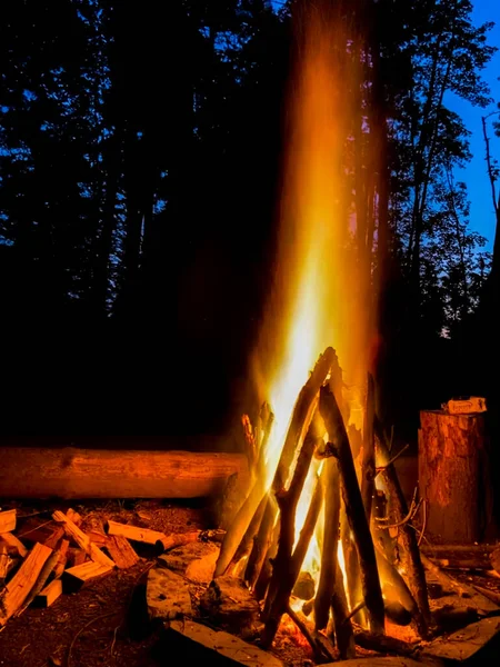 A big camp fire on a beautiful spring evening in the middle of a forest