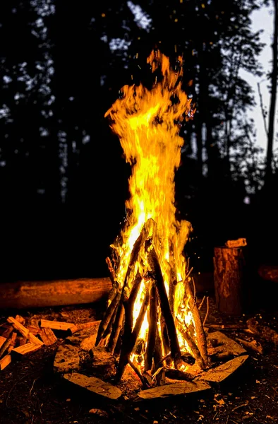 A big camp fire on a beautiful spring evening in the middle of a forest