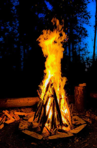 Big Camp Fire Beautiful Spring Evening Middle Forest — Stock Photo, Image