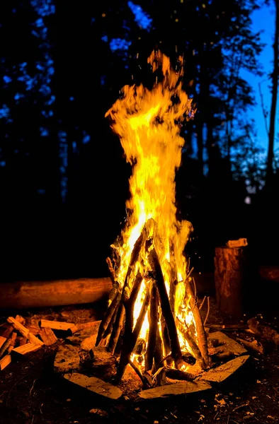 Big Camp Fire Beautiful Spring Evening Middle Forest — Stock Photo, Image