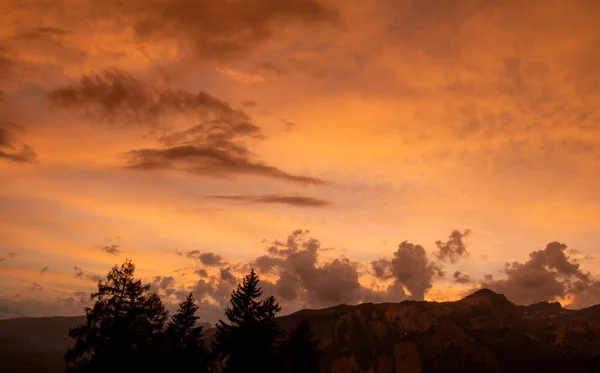 Die Silhouette Eines Baumes Vor Einem Farbenfrohen Sonnenuntergang Nach Einem — Stockfoto