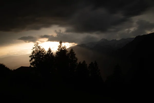 Силуэт Дерева Перед Красочным Закатом После Грозы Швейцарских Альпах — стоковое фото