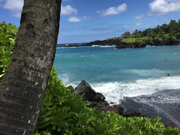 Árbol Bordea Una Hermosa Bahía Turquesa Del Océano Pacífico Hawai —  Fotos de Stock