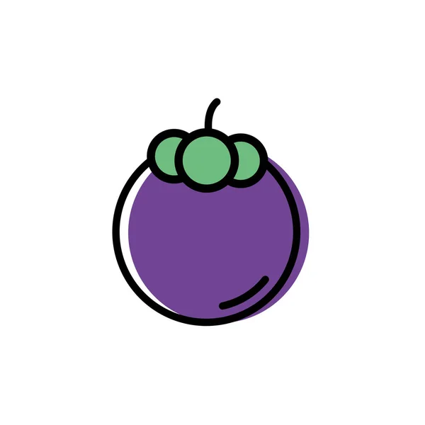 Mangosteen Symbol Vektor Flache Design Illustration — Stockvektor