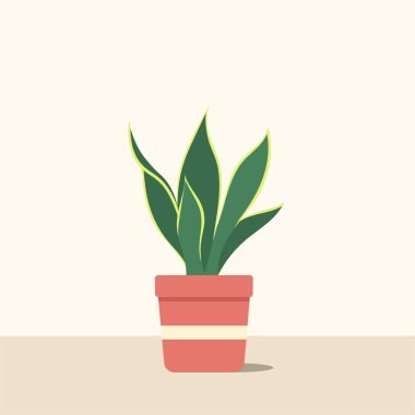 Dekoratif bitkiler düz görüntü tasarımı. Vektör illüstrasyonu