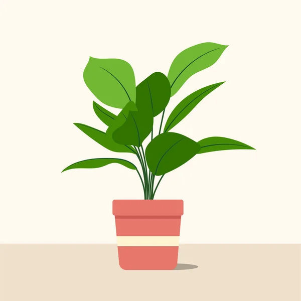 Plantas Decorativas Design Imagem Plana Ilustração Vetorial — Vetor de Stock