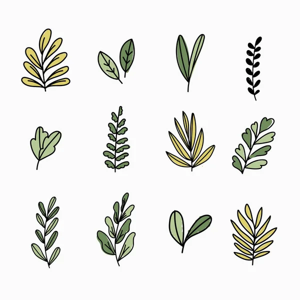 Various Leaves Doodle Collection Vector — Stock Vector