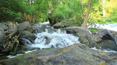 Taşlar ve yeşil ağaçlar arasındaki bir nehirde bir su akıntısı.