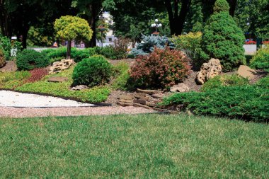 Güneşli bir yaz gününde parkta çiçek açmış.