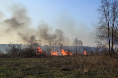 Bozkırda büyük bir yangın var.