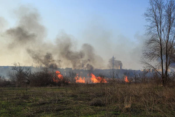 Velký Požár Stepní Oblasti — Stock fotografie