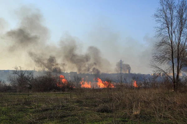 Bozkırda büyük bir yangın var.